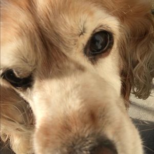 Meet your Posher, Patricia